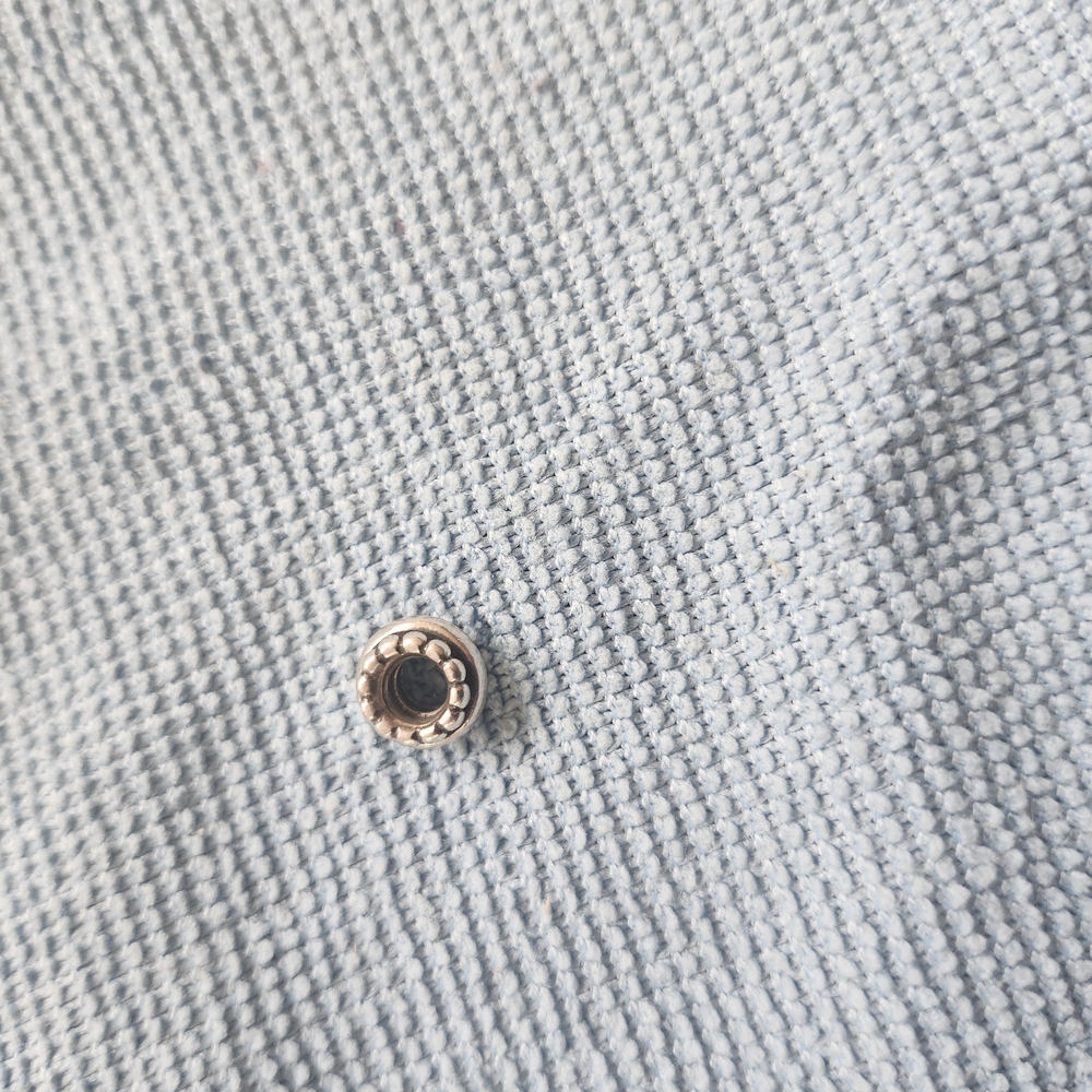 Pandora Charm/spacer